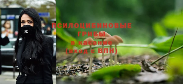 дурь Липки