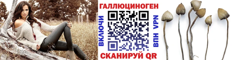 мега tor  как найти   Киржач  Галлюциногенные грибы ЛСД 